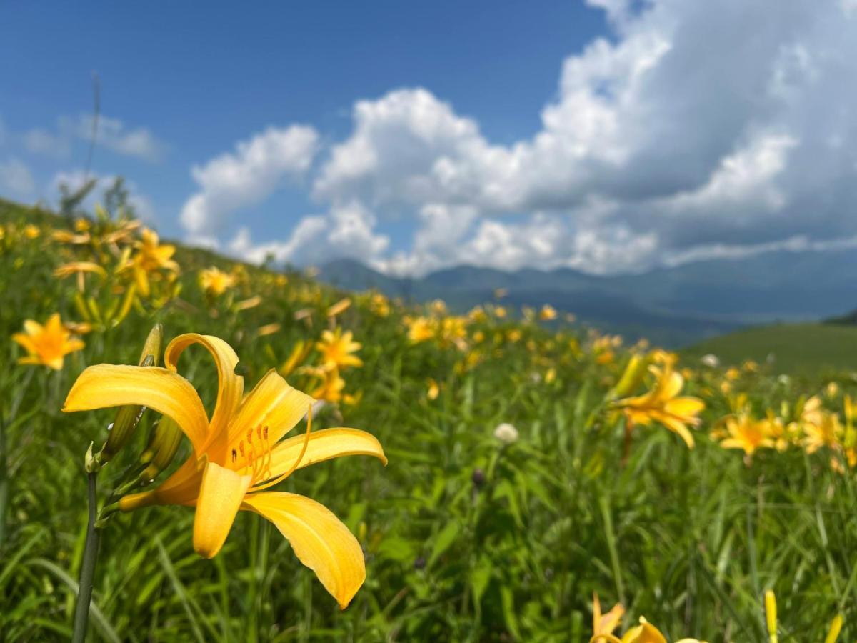Pension Wildflowers Tateshina  Exterior foto