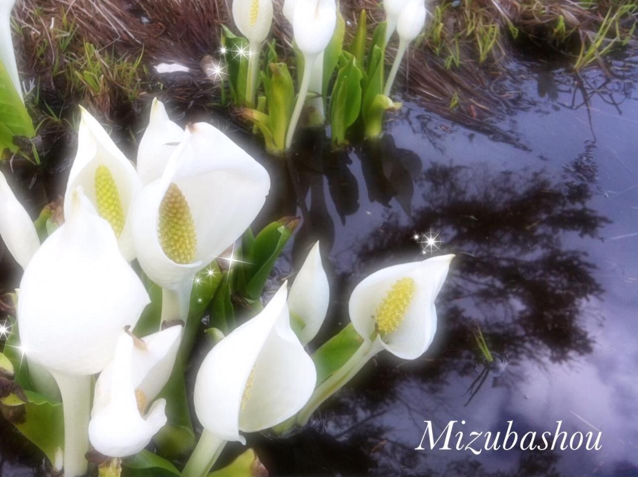 Pension Wildflowers Tateshina  Exterior foto