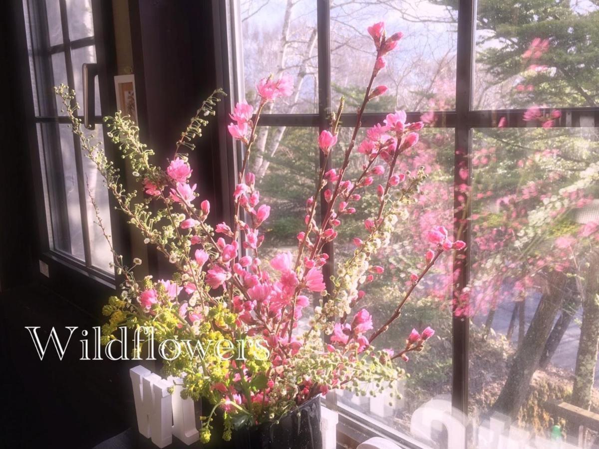 Pension Wildflowers Tateshina  Exterior foto